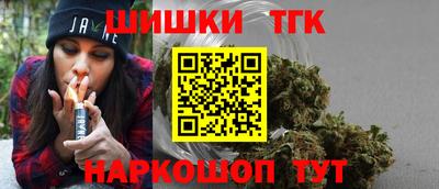 индика Обь