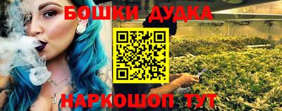 индика Обь