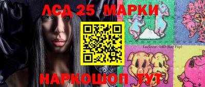 индика Обь