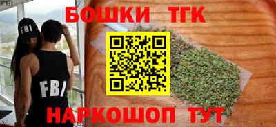 индика Обь