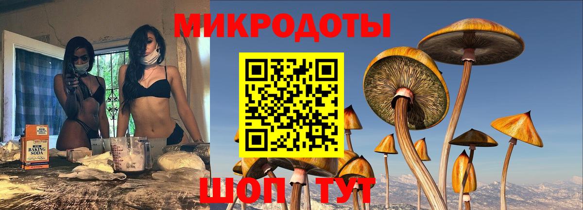 Галлюциногенные грибы Psilocybe Ржев