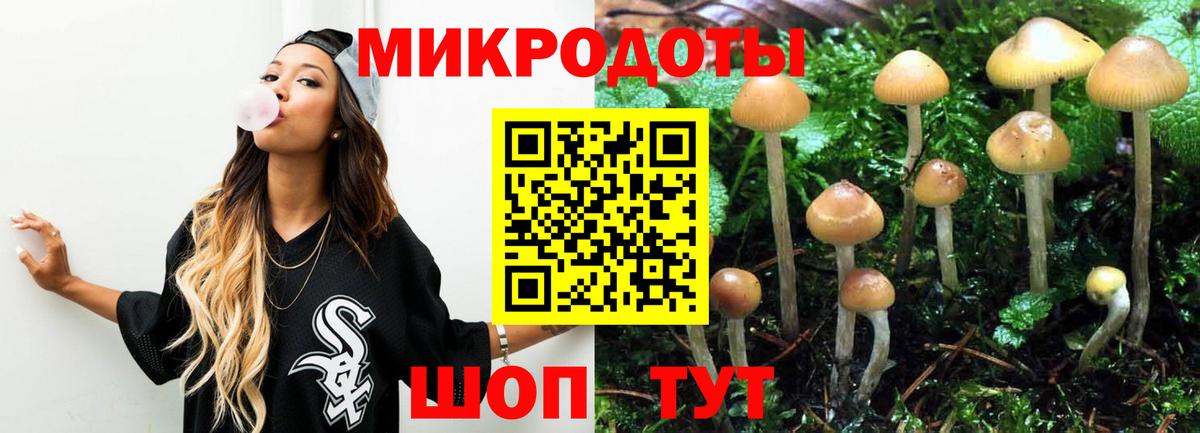 где продают наркотики  Вход с VPN  Ржев  Псилоцибиновые грибы ЛСД  Галлюциногенные грибы GOLDEN TEACHER 
